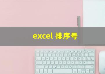 excel 排序号